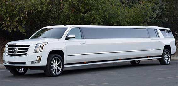 Take a Look at the Limousine Service’s Most Creative Responses