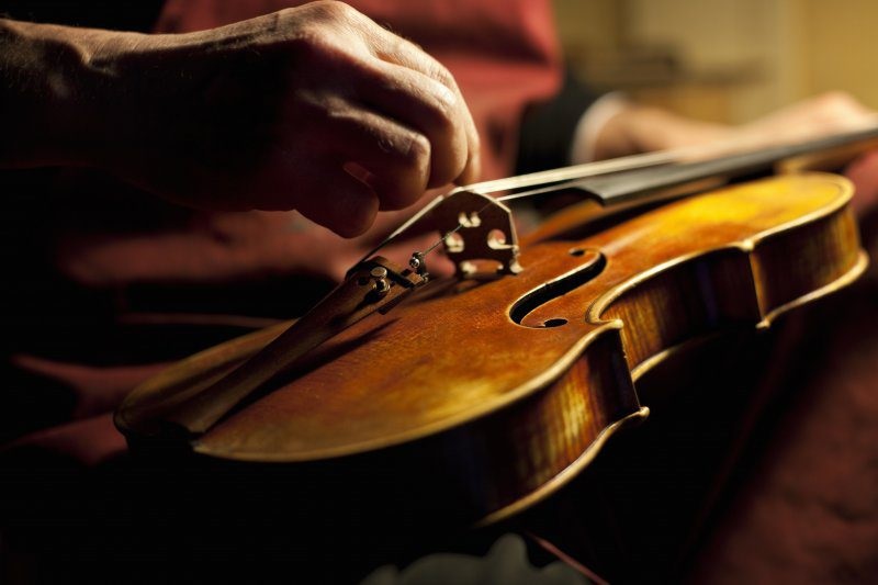 Embrace the Melodies: Beginners’ Online Violin Lessons